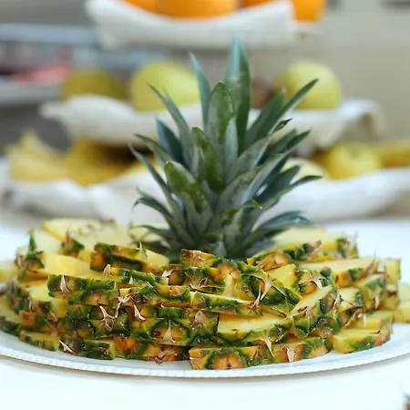 Mini ホテル リミニ