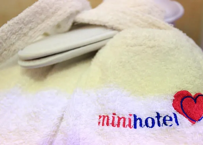 Hotel Mini 3*