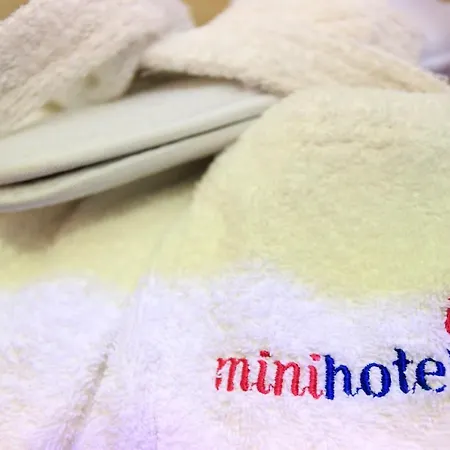 Hotel Mini 3*